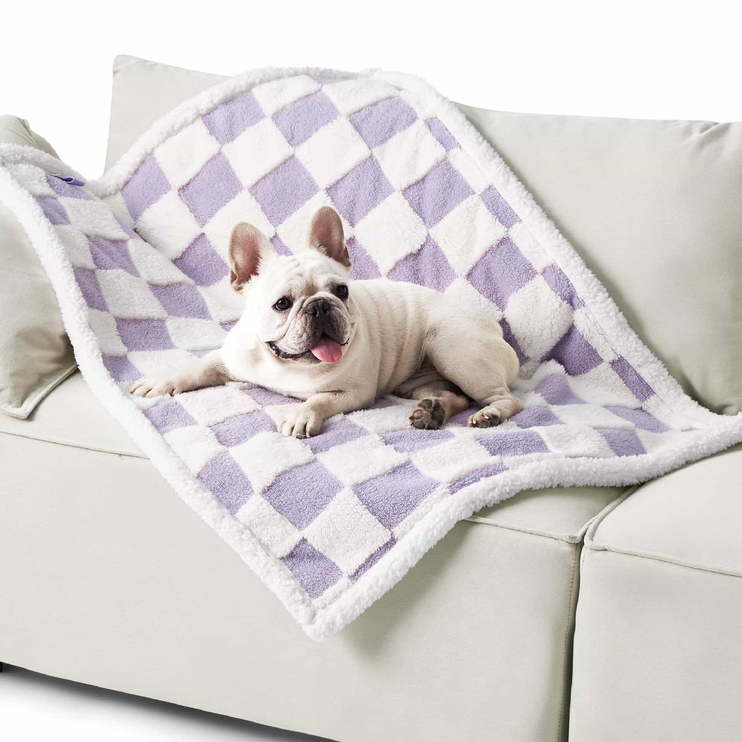 Haustier - Kuscheldecke im PfotenHimmel™ Design - Gib Pfote