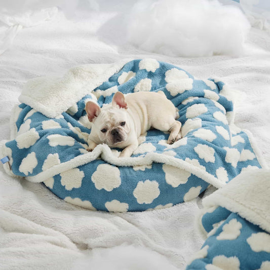 Haustier - Kuscheldecke im PfotenHimmel™ Design - Gib Pfote